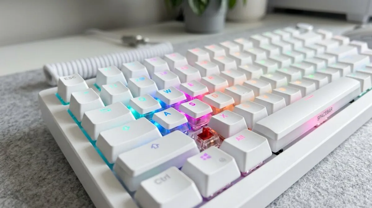 $250 Off Your Order